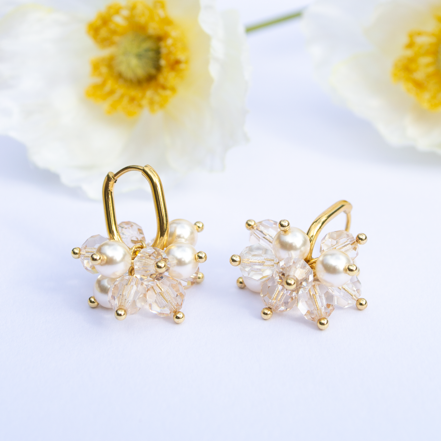 Crystal Paloma - Elegance